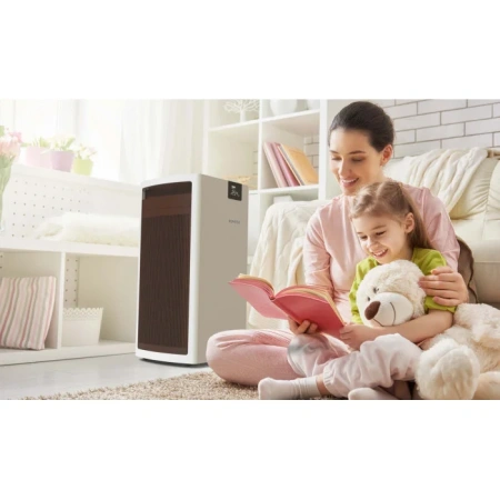 Очиститель воздуха Boneco P710